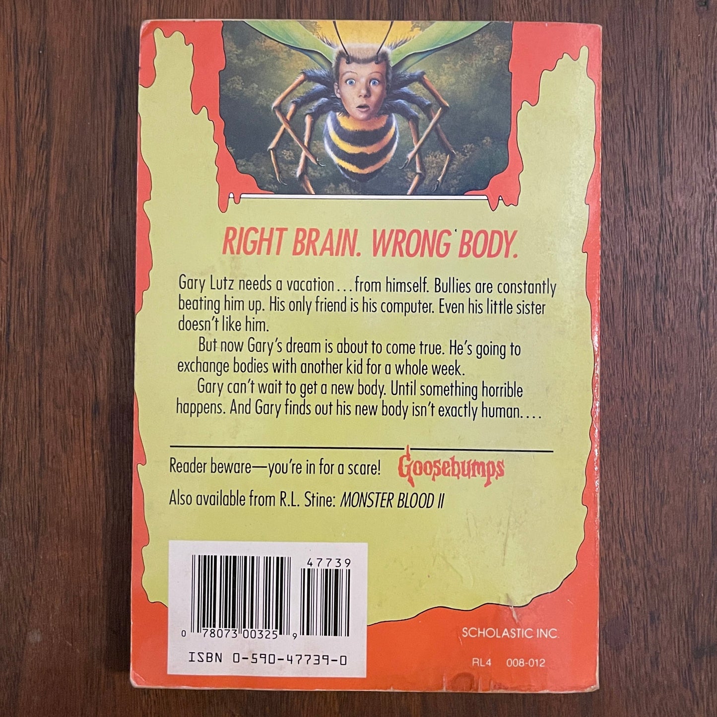Goosebumps #17 ‘Why I am Afraid of Bees'; R.L. Stine, 1994 - 1E - reJUNKshop