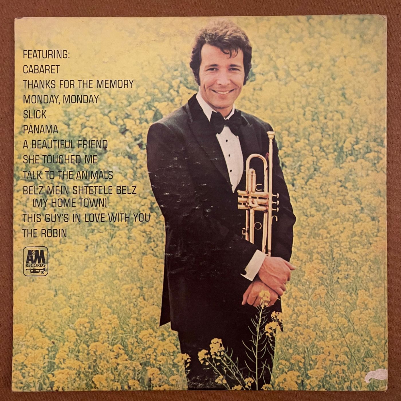 Cover art for the vinyl album in its original appearance
